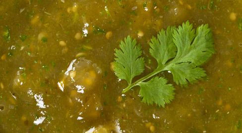 Crockpot Chicken Salsa Verde